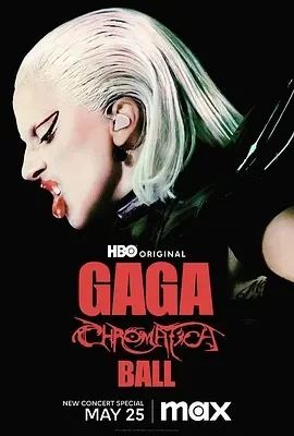Lady Gaga：神彩巡回演唱会（2024）1080P百度网盘资源美国综艺免费高清在线观看插图