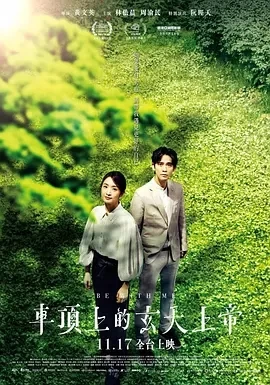 车顶上的玄天上帝（2023）1080P百度网盘资源免费电影高清在线观看插图