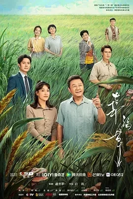 幸福草（2024）1080P百度网盘资源国产剧全集免费高清在线观看