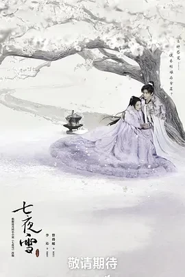 七夜雪 (2024)更至32集-百度网盘1080P高清免费国产剧资源