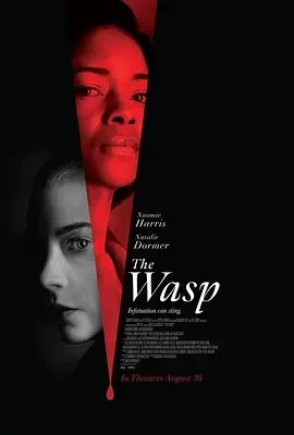 黄蜂蜇 The Wasp (2024)百度网盘1080P高清免费电影资源插图