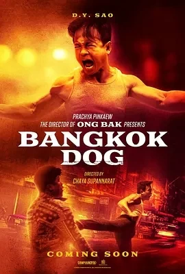 曼谷战狼 Bangkok Dog (2024)百度网盘1080P高清免费泰国电影资源插图