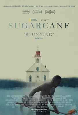 甘蔗 Sugarcane (2024)百度网盘1080P高清免费纪录片电影资源插图