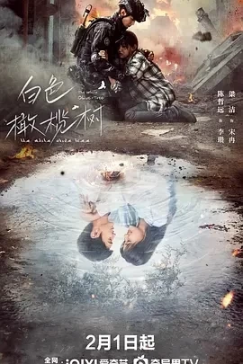 白色橄榄树 (2025)更至06集-百度网盘1080P高清免费国产剧资源