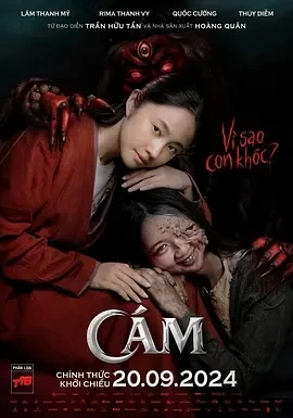 阿糠 Cám (2024)百度网盘1080P高清免费越南电影资源