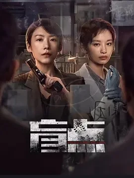 盲点 (2025)百度网盘1080P高清免费国产剧资源