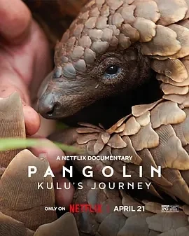 穿山甲Kulu的旅程 Pangolin: Kulu’s Journey (2025)百度网盘1080P高清免费纪录片电影资源