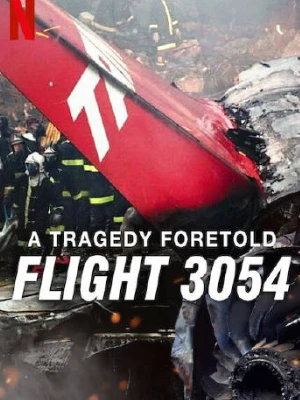 悲刷预言：巴西3054航班空难 (2025)全3集-百度网盘1080P高清免费纪录片资源
