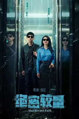 绝密较量 (2025)百度网盘1080P高清免费国产剧资源
