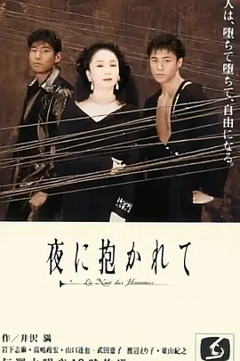 拥抱黑夜 夜に抱かれて (1994)全10集-百度网盘1080P高清免费日剧资源