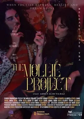 莫莉计划 The Mollie Project (2025)百度网盘1080P高清免费土耳其电影资源