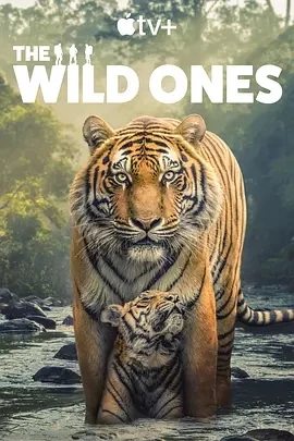 野性生灵 The Wild Ones (2025)百度网盘1080P高清免费英国纪录片资源